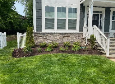 New Plantings For Townhouse In Arlington