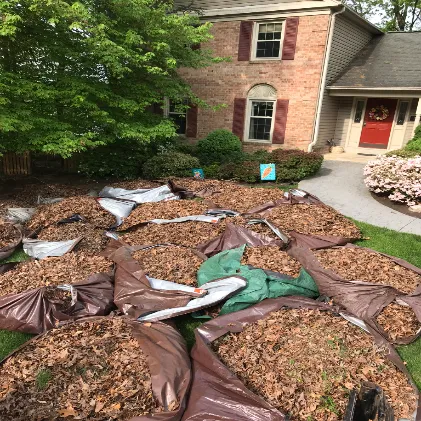 Leaf Pile Removal In Arlington