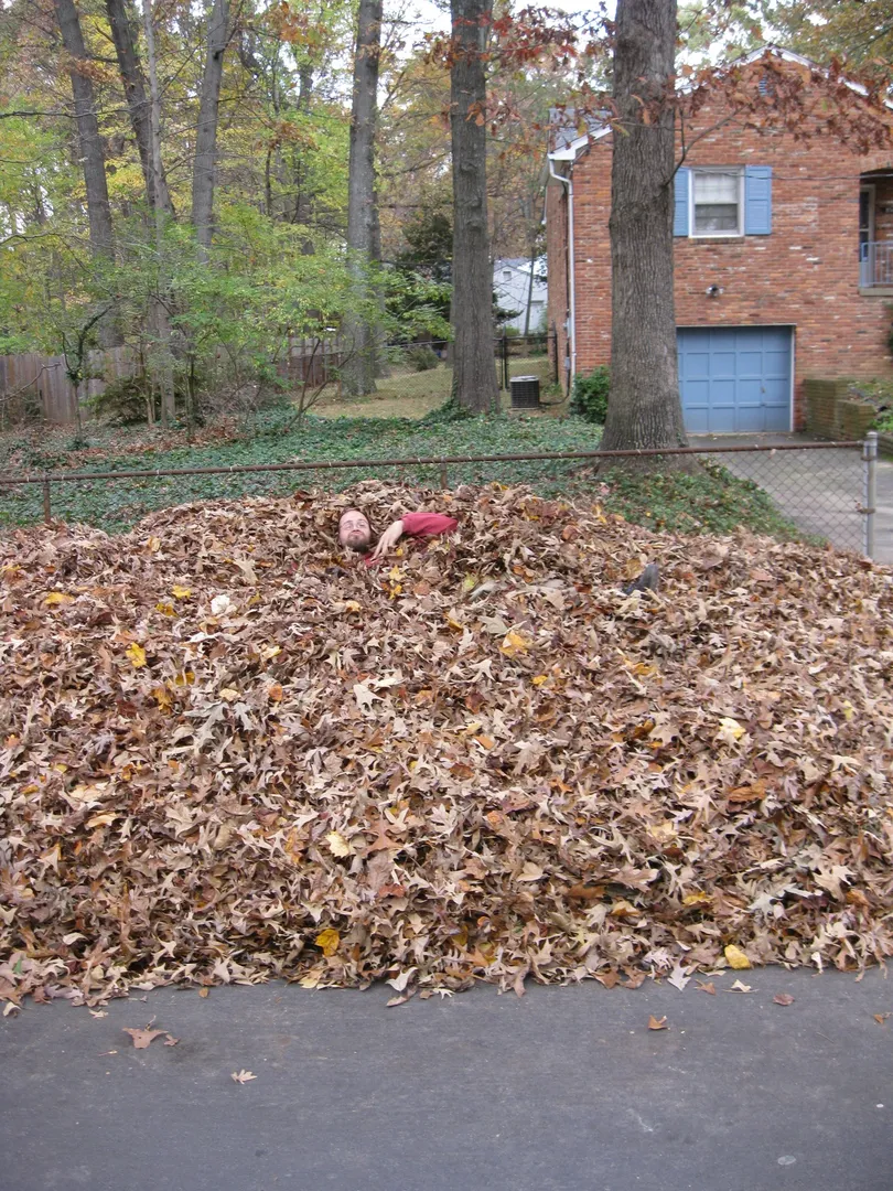 Leaves On Curb In Arlington