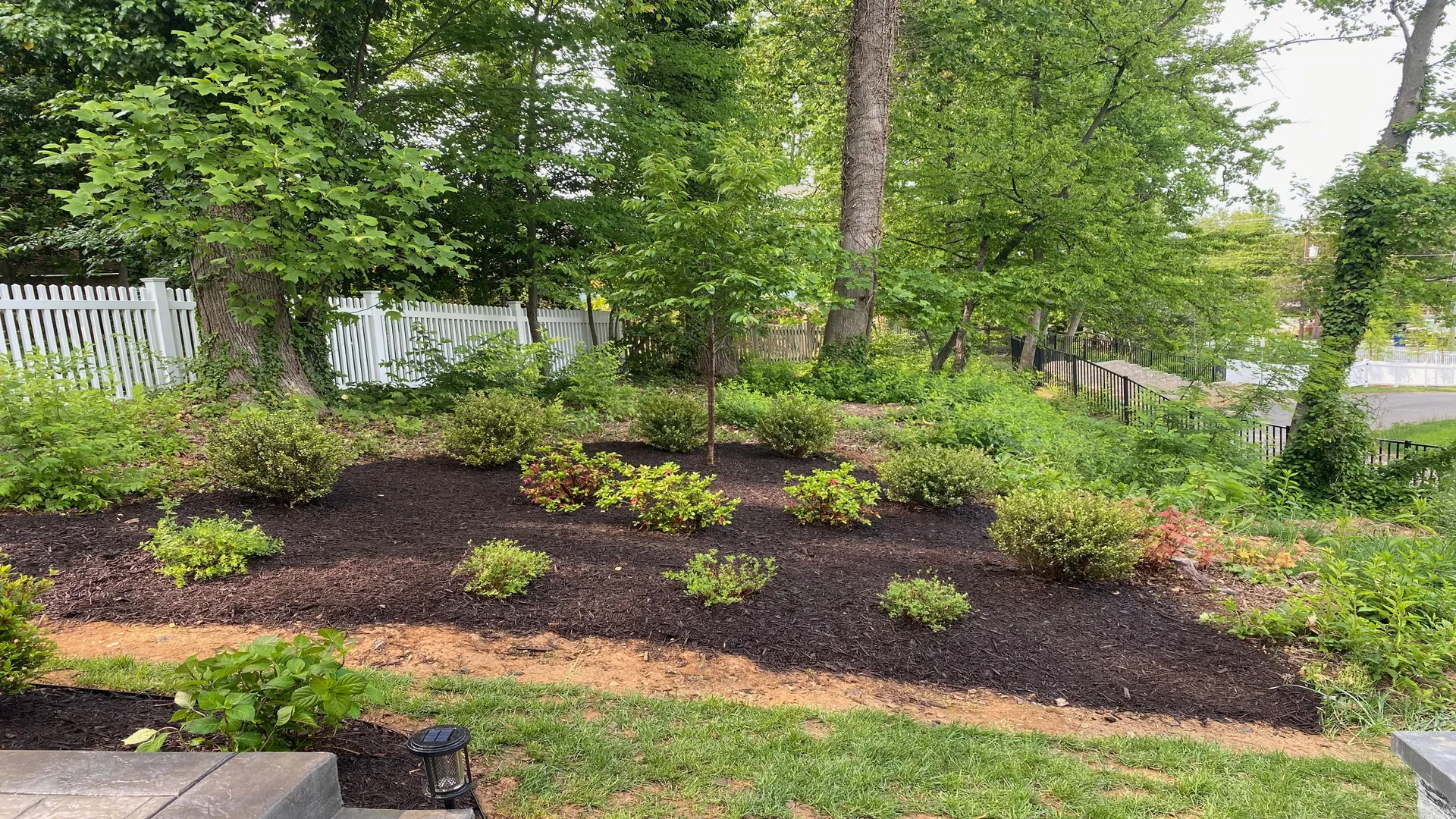 Beautifully planted garden with shrubs and flowers.