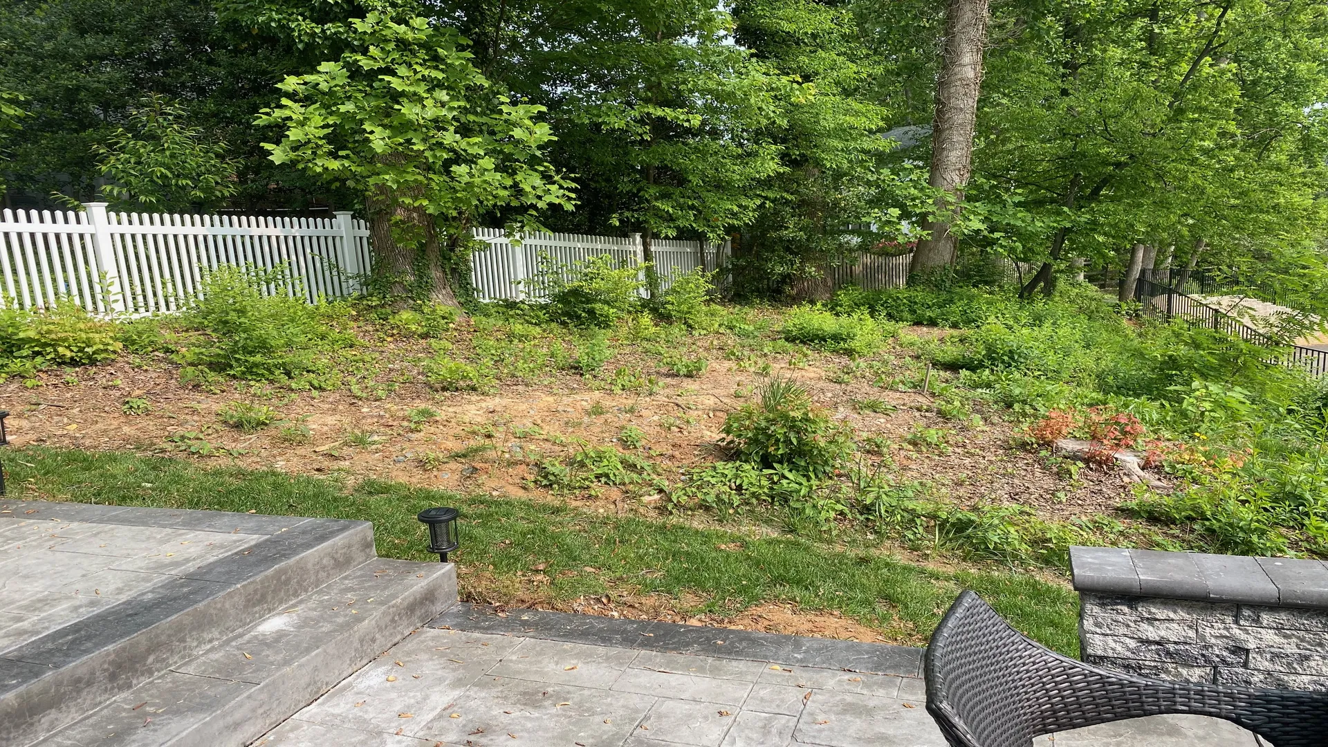 Overgrown and neglected garden space before planting.