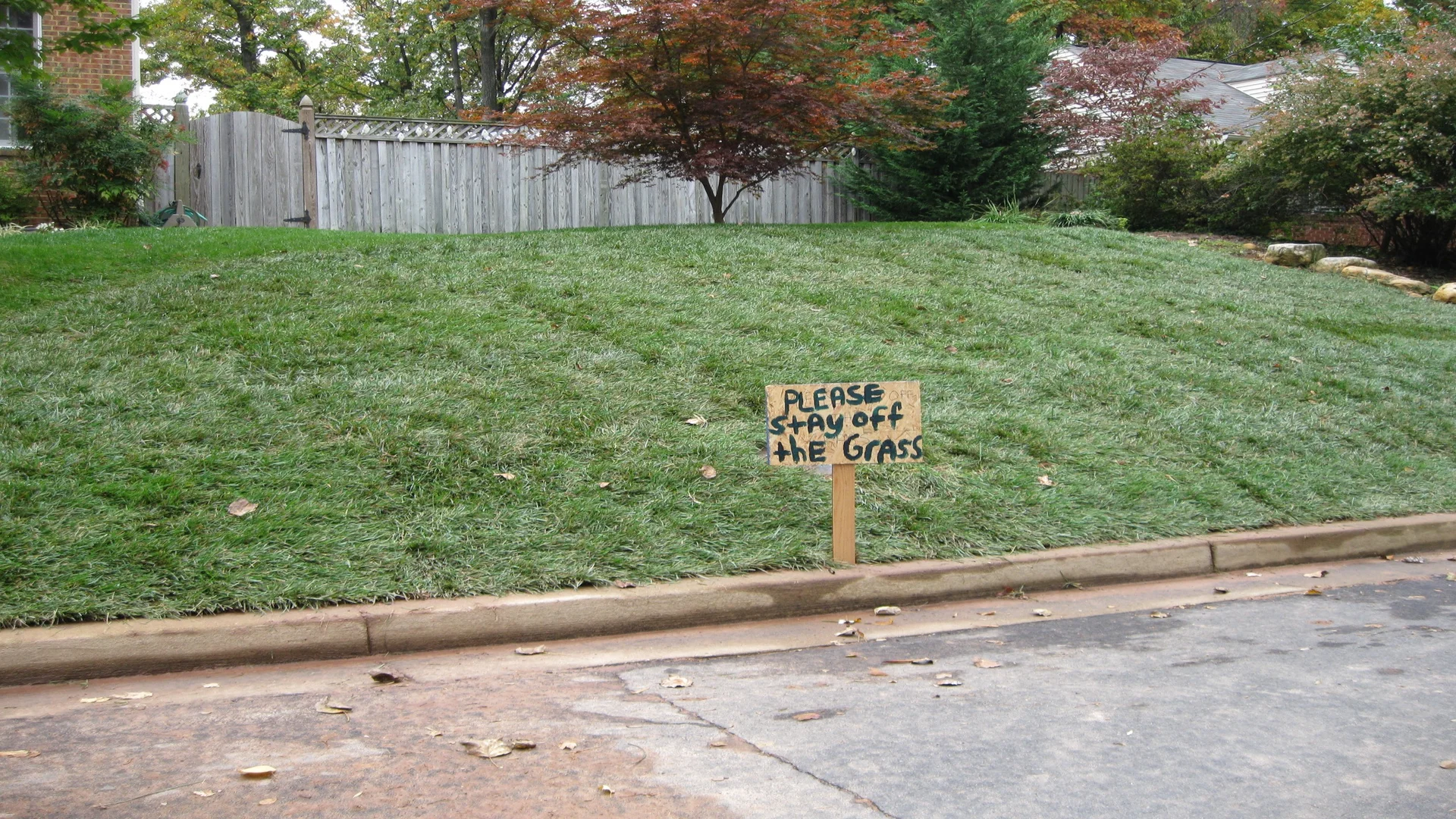 Sod Installation by Hall's Landscaping